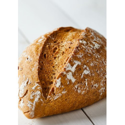 opskrift brød med snit glutenfri